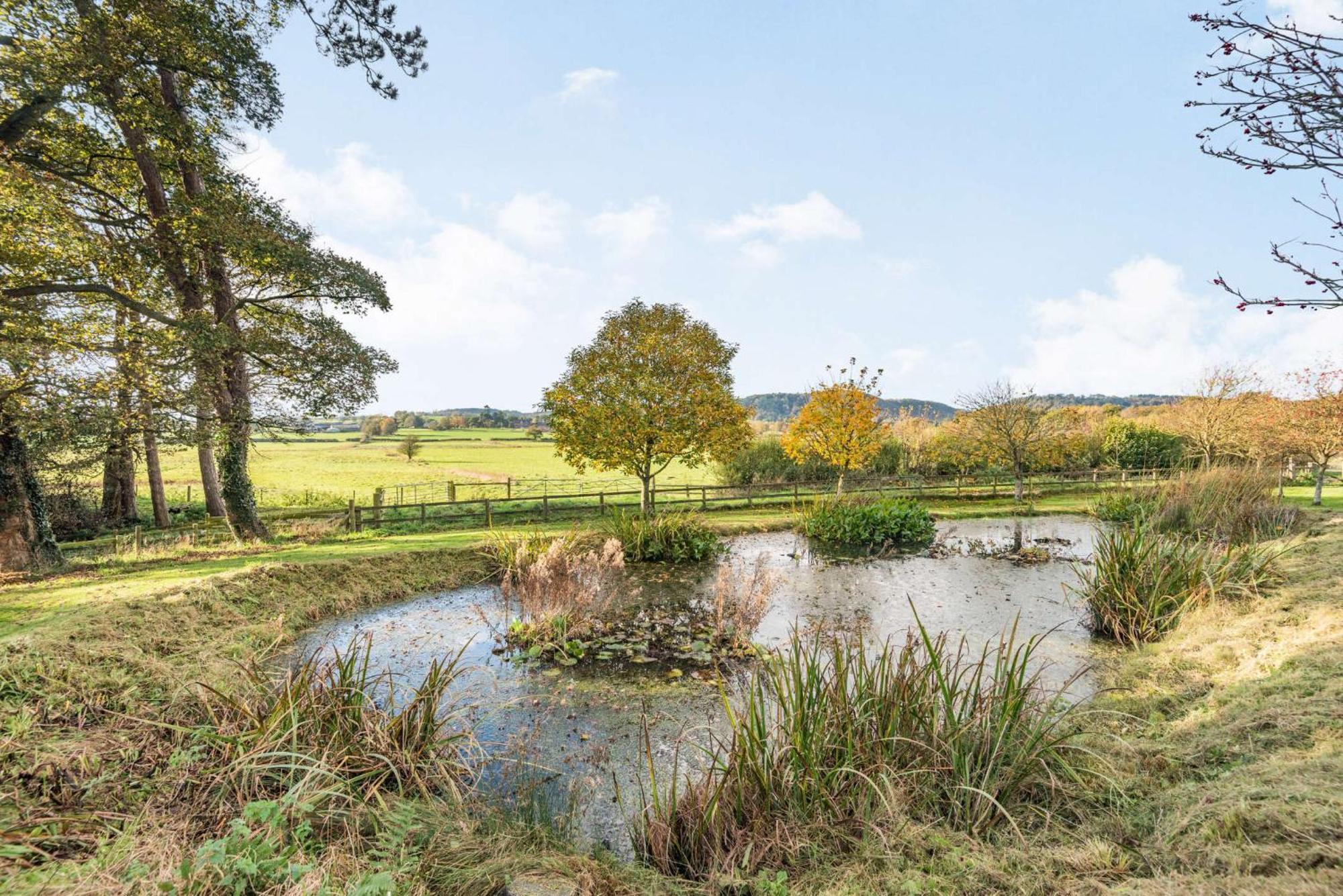 Pheasant Holiday home